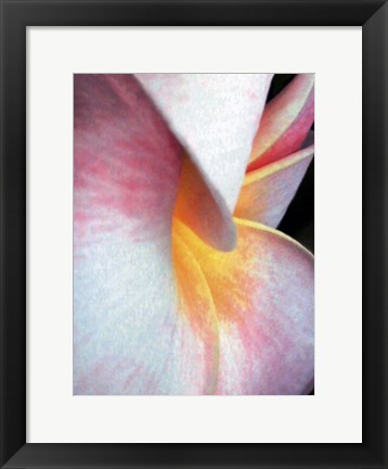 Framed Flowers II Print