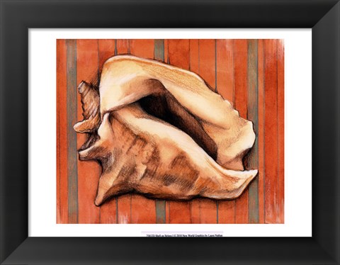 Framed Shell on Stripes I Print