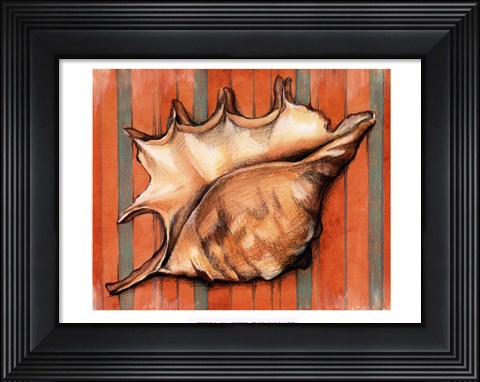 Framed Shell on Stripes II Print