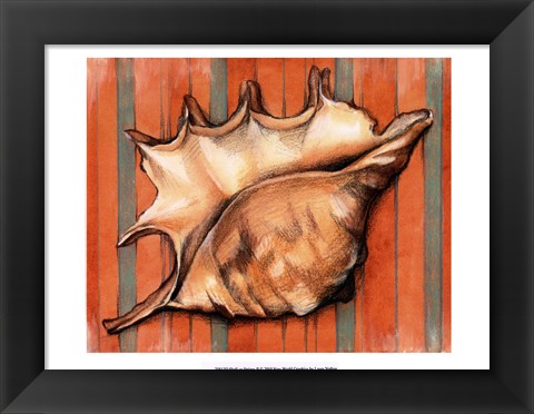 Framed Shell on Stripes II Print
