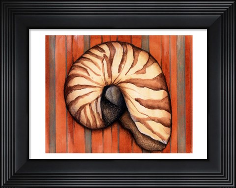 Framed Shell on Stripes IV Print