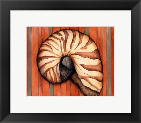 Framed Shell on Stripes IV Print