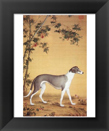 Framed Greyhound by Bamboo Print