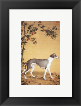 Framed Greyhound by Bamboo Print