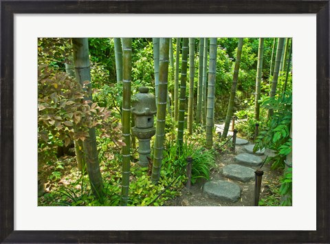 Framed Hasedera-Bamboo Grove Print