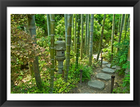 Framed Hasedera-Bamboo Grove Print