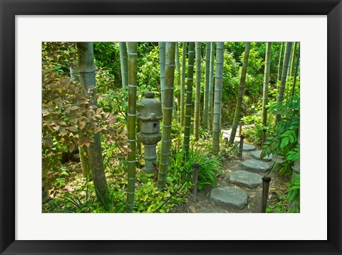 Framed Hasedera-Bamboo Grove Print