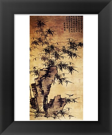 Framed Xia Chang-Bamboo and Stone Print