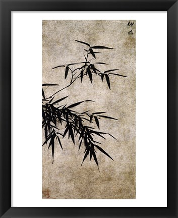 Framed Xia Chang- Ink Bamboo Print