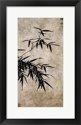 Framed Xia Chang- Ink Bamboo Print