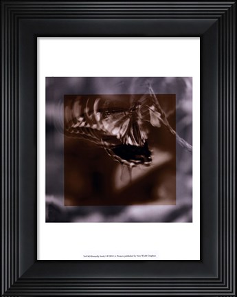 Framed Butterfly Study I Print