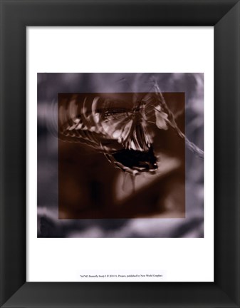 Framed Butterfly Study I Print