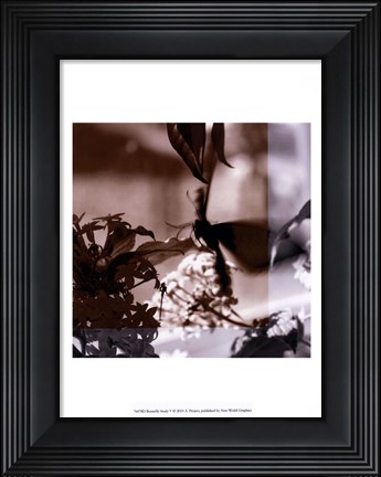Framed Butterfly Study V Print