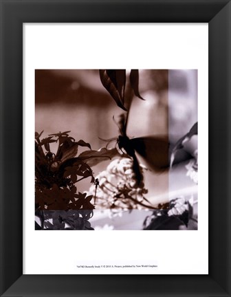 Framed Butterfly Study V Print