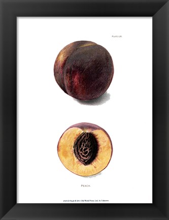 Framed Peach Print