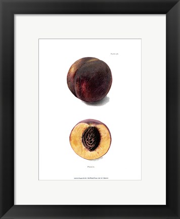 Framed Peach Print