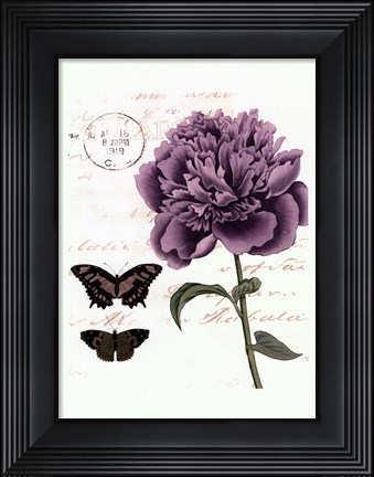 Framed Small Vintage Floral IV Print