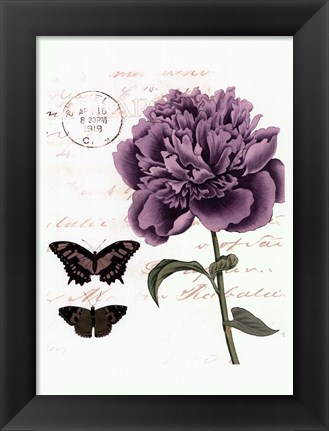 Framed Small Vintage Floral IV Print