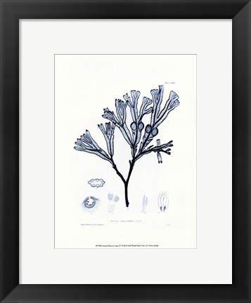 Framed Nature Pritn in Aqua IV Print