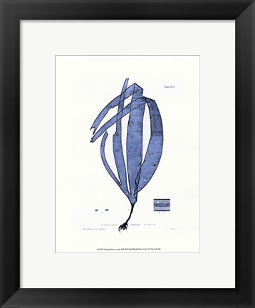 Framed Nature Print in Aqua II Print