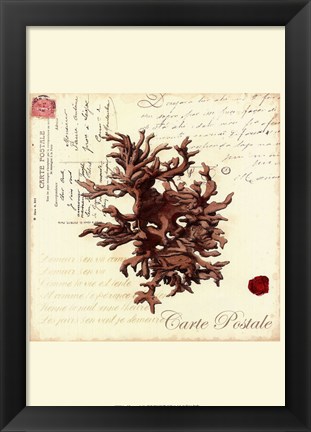 Framed Small Romance du Mer III Print