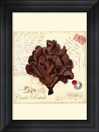Framed Small Romance du Mer IV Print