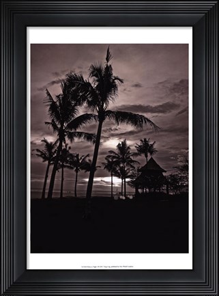 Framed Palms At Night I Print