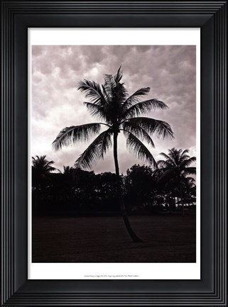 Framed Palms At Night II Print