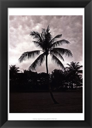 Framed Palms At Night II Print