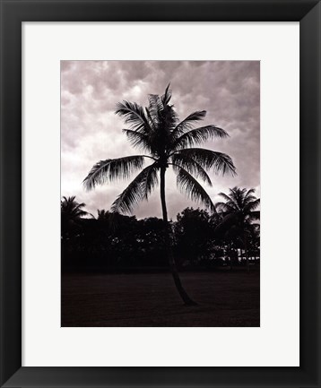 Framed Palms At Night II Print