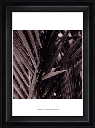 Framed Bamboo Study I Print