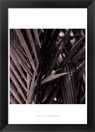 Framed Bamboo Study I Print