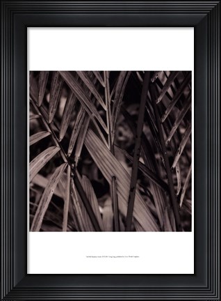 Framed Bamboo Study II Print