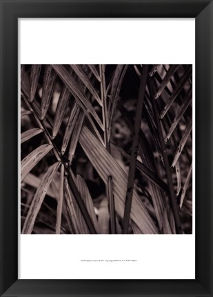 Framed Bamboo Study II Print