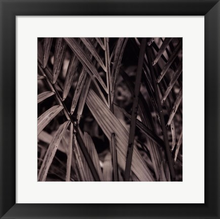 Framed Bamboo Study II Print