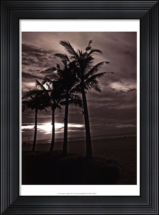 Framed Palms At Night III Print