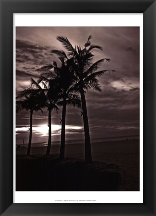 Framed Palms At Night III Print