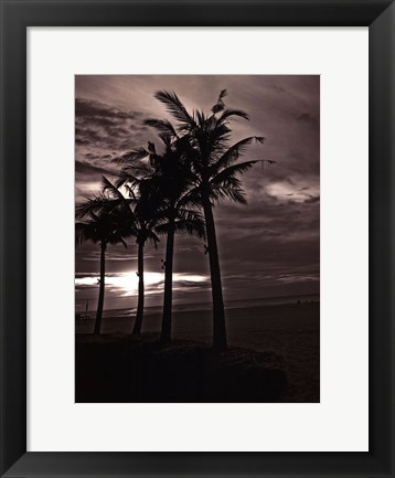 Framed Palms At Night III Print