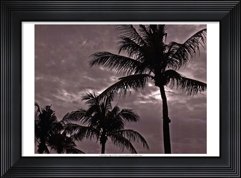 Framed Palms At Night IV Print
