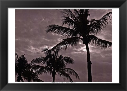 Framed Palms At Night IV Print