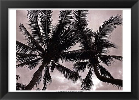 Framed Palms At Night V Print