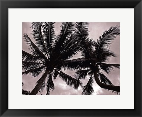 Framed Palms At Night V Print