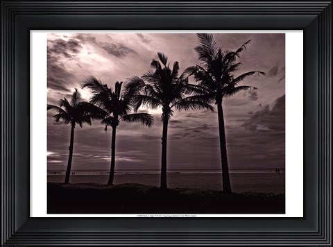 Framed Palms At Night VI Print