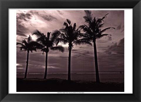 Framed Palms At Night VI Print