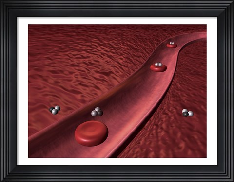 Framed Close-up of red blood cells Print