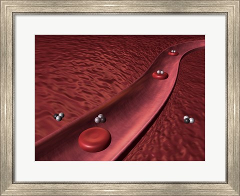 Framed Close-up of red blood cells Print