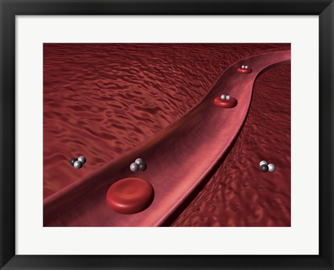 Framed Close-up of red blood cells Print