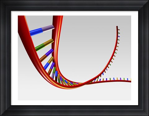 Framed Close-up of a human DNA structure Print