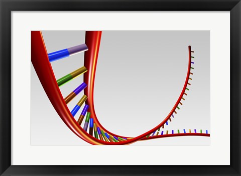 Framed Close-up of a human DNA structure Print