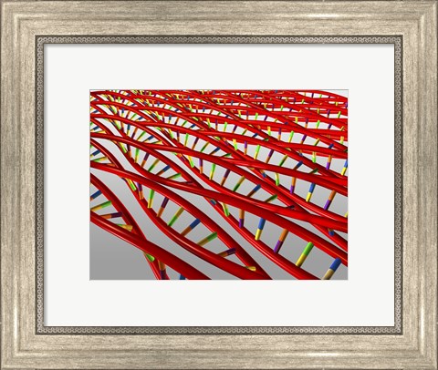 Framed Close-up of a human DNA structure Print